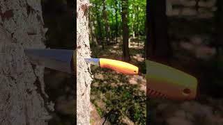 Peltonen Knives m23 orange 😍 bushcraft survival knife nature camping wildlife wald [upl. by Nnaeiluj]