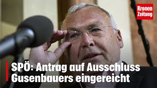 SPÖ Antrag auf Ausschluss Gusenbauers eingereicht  kronetv NEWS [upl. by Leunad]