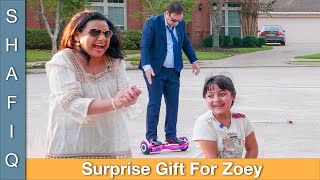 Surprise Gift For Zoey Family VLOG in Urdu Hindi  RKK [upl. by Whit]