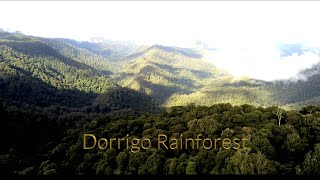 Coffs Coast NSW  Coffs Coast 4k  Bellinger River  Urunga  Bellingen  Dorrigo Mountain [upl. by Sedlik]