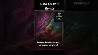 Seka Aleksic Remix 2024 remix tiktok virales shorts [upl. by Leblanc37]