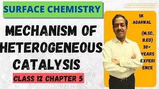 Mechanism Of Heterogeneous Catalysis  Class 12 Chapter 5 Surface Chemistry [upl. by Eniluqaj]