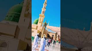 Hasbi Rabbi jallah new shortsshorts video🤲🤲💪youtube shortsMakka shorts [upl. by Richardson5]