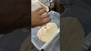 💙 Parte 2 Cultivo de microgusano de la avena fácil y rápido para tus alevines de pez [upl. by Ahseinod]