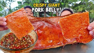 7Kgs MASSIVE PORK BELLY HD  BACKYARD COOKING [upl. by Nosdrahcir]