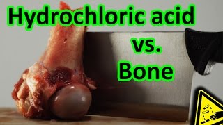 Hydrochloric Acid vs Bone total decomposition 🍖 [upl. by Nosydam]