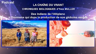 Podcast 19  Des Indiens de l’Altiplano à l’hormone qui dope la production de nos globules rouges [upl. by Jak478]