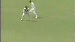 West Indies vs Australia 5th test 1993 part 1of3 [upl. by Fatimah]