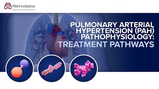 Pulmonary Arterial Hypertension PAH Pathophysiology Treatment Pathways [upl. by Tiffany]