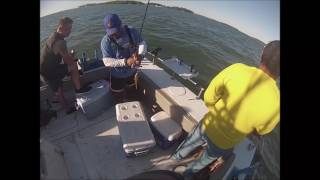 Perch Charter on Lake Erie [upl. by Everard303]