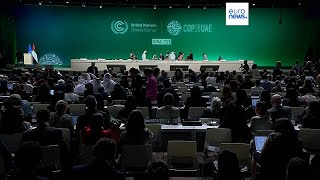 COP28  Las conclusiones excluyen la reducción de los combustibles fósiles [upl. by Elleirda]