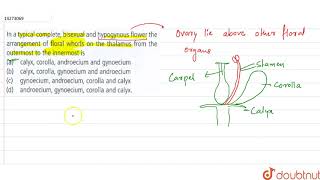 In a typical complete bisexual and hypogynous flower the arrangement of floral whorls on the [upl. by Cristoforo]