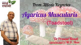 My Experiences with Agaricus Muscarius [upl. by Kcirdneked]