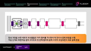 지더블유바이텍 자동화 단일세포 핵산 추출 시스템  Fluidigm C1 System  Workflow [upl. by Lidstone]