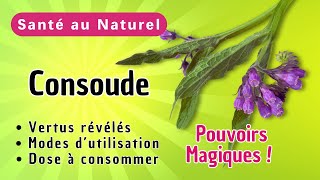 CONSOUDE MAGIQUE  Pourquoi Tout le Monde Parle de ses Bienfaits pour la Santé  Les Explications [upl. by Ennailuj522]