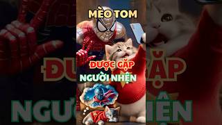 Mèo Tom Được Người Nhện SpiderMan Giúp Đỡ cat catlover spiderman trieuvannhi cats [upl. by Ellevehc]