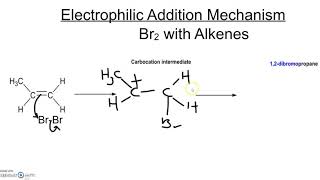 Electrophilic Addition Mechanism with Bromine [upl. by Ijneb]