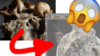 Photogrammetry3D Scan Convert Video in 3DObject with Meshroom and ffmpeg [upl. by Tades]