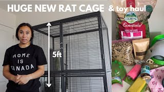 PET RAT HAUL amp upgrading to a double critter nation rat cage [upl. by Sekofski]