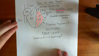 The FrankStarling Law of the Heart Part 1 [upl. by Haven]