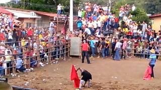 fiestas de🐮 santa librada 2016  las tablas dale like please [upl. by Hguh489]