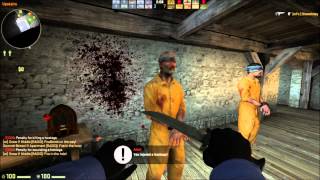 counter strike global offensive hostage killing minitage [upl. by Orlena484]