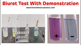 Biuret Test With Demonstration In 5 Minutes  Biuret Test Biochemistry [upl. by Emlen796]