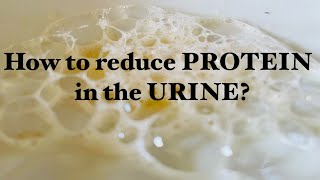 How to Reduce Protein in the Urine  TIPS [upl. by Tallia]