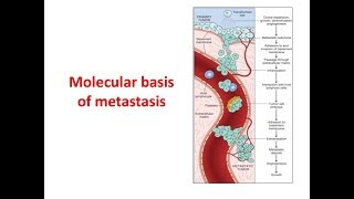 Metastasis Molecular Basis [upl. by Aihc]