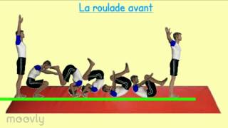 Capsule vidéo EPS Gym Les roulades avant et arrière [upl. by Ingeborg897]