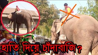 Horrible scene of toll collection by elephants Elephant rampage ASRAFULOFFICIALBDso5rd [upl. by Osmo449]