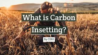 What is Carbon Insetting [upl. by Eceryt]