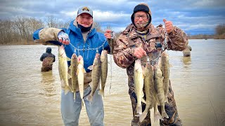 Walleye Fishing from Shore was a SUCCESS  Maumee River Walleye Run 2023 [upl. by Ayanet]