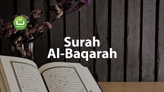 Juz 1 Surah Al Baqarah سورة البقرة  Abu Usamah ᴴᴰ  Tadabbur Daily [upl. by Lesh303]