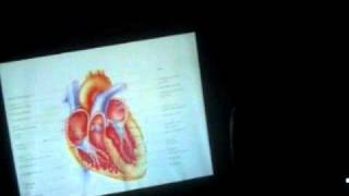 3 Formation Continue Anatomie et Physiologie du Coeur Humain le 23 10 2010 [upl. by Wivinia]