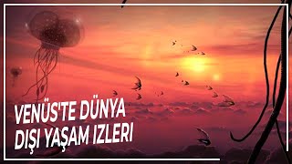 Ötedeki Yaşam Venüste Dünya Dışı Yaşamın Gizemli İzleri  Uzay BELGESELİ [upl. by Bilski]