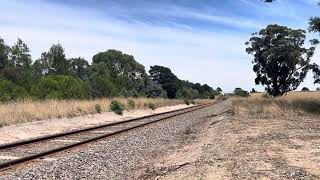 N462 on an up Warrnambool pass between Birregurra and Winchelsea [upl. by Sid]