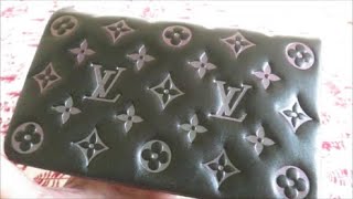 Louis Vuitton Coussin Pochette Iridescent  Overview  What fits [upl. by Nosloc]