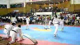 9th World TKD Fest amp Malaysia Martial Art Open 2007 [upl. by Aracot]