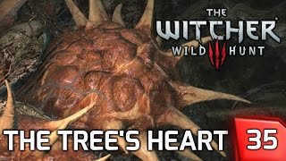 The Witcher 3 Destroying the Druid Spirit in the Trees Heart  Story amp Gameplay 35 PC [upl. by Reiser]