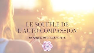 Respiration et méditation  Le souffle de lautocompassion [upl. by Charlet]