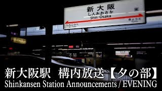 新幹線 新大阪駅 構内放送集【夕の部】– Shinkansen Station Announcements at ShinOsaka  evening [upl. by Twedy]