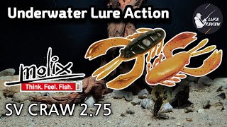 BassFishing molix 1 SV CRAW 275  Underwater Lure Action [upl. by Ikila]