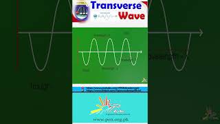 Transverse Wave I Types of Waves I SHM and Waves I learning physics penacademy education [upl. by Genevieve]