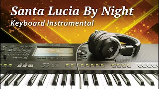 Santa Lucia By Night  Cover Instrumental  Yamaha PSRSX900 Keyboard [upl. by Assele975]