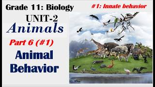 Grade 11 Biology Unit 2 Part 6 1 Animal Behavior Innatebehavior yeshanehtube [upl. by Oran]