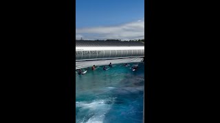 Longboard Surf at The Wave [upl. by Tirza]