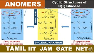 TAMIL ANOMERS EPIMERS STEREOISOMERS DIASTEREOMERS CYCLIC STRUCTURE DGLUCOSE HAWORTH STRUCTURE [upl. by Ettenor46]