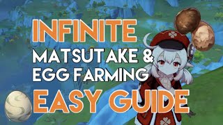 EASY INFINITY FARMING  EGG amp MATSUTAKE  BUG  GENSHIN IMPACT [upl. by Thetis956]