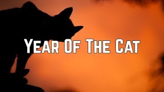 Al Stewart  Year Of The Cat Lyrics [upl. by Aihsekel]